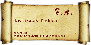 Havlicsek Andrea névjegykártya